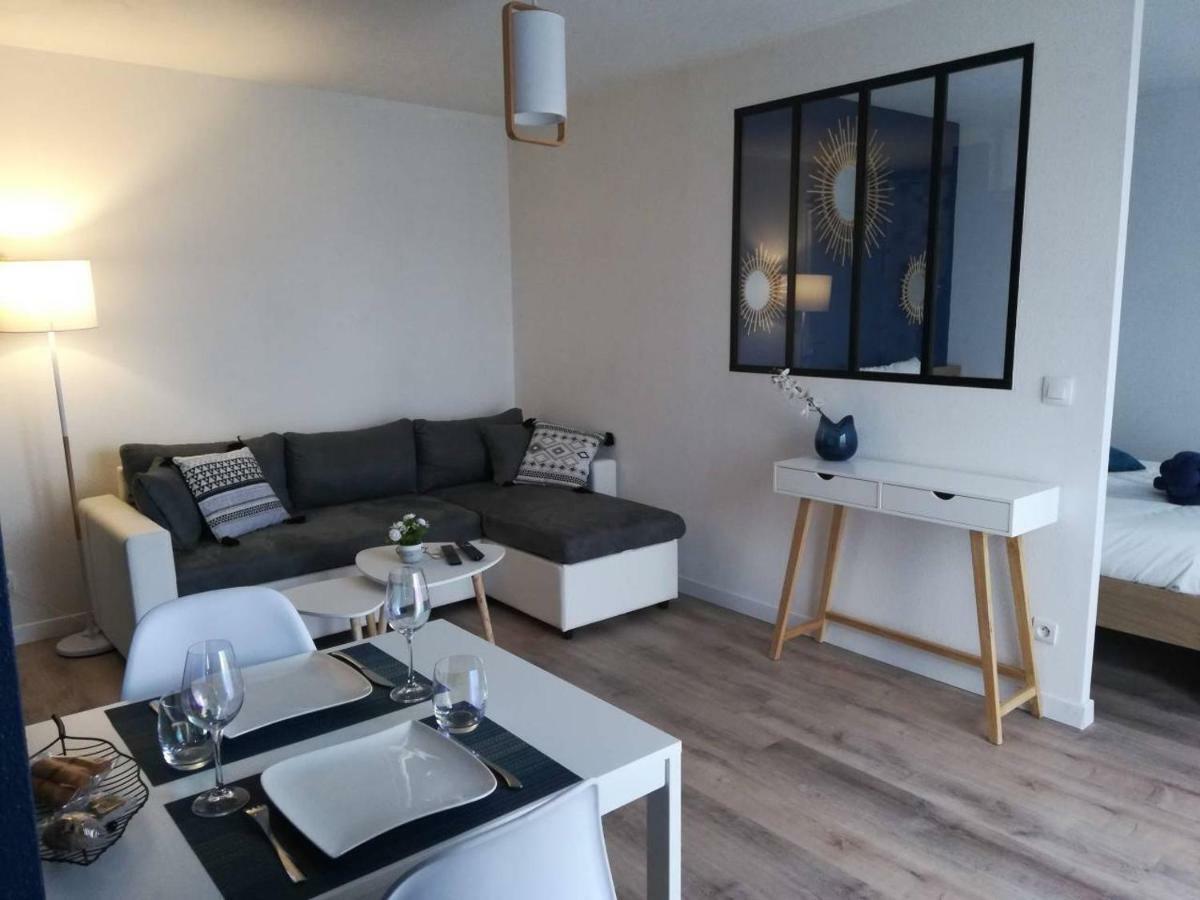 Appartement Cosy Proche Meteo France Et Airbus Toulouse Bagian luar foto