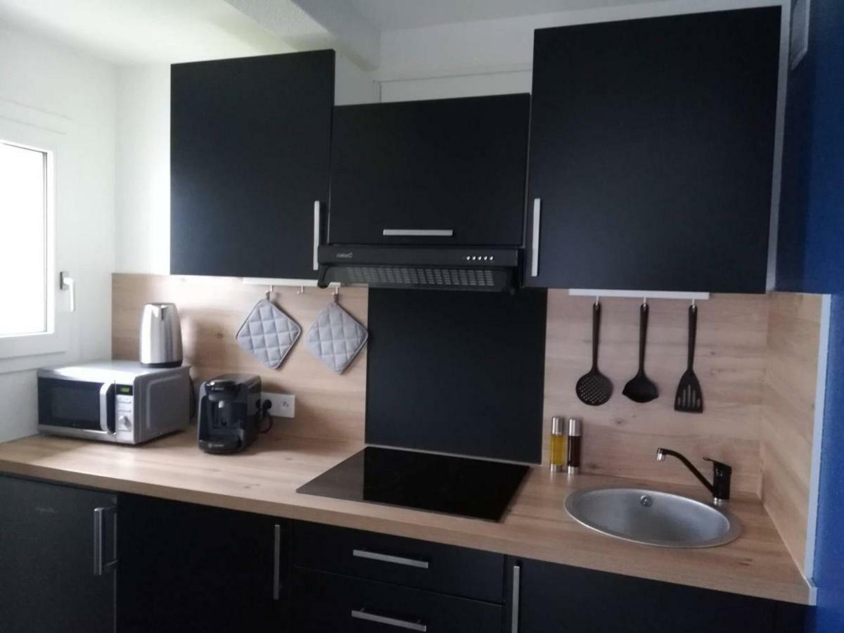 Appartement Cosy Proche Meteo France Et Airbus Toulouse Bagian luar foto